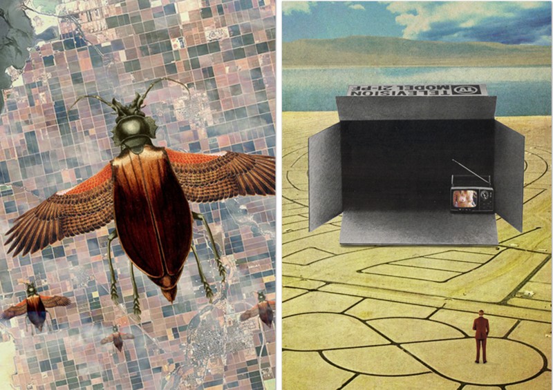 Left: "Flying High" by Sammy Slabbinck -- Right: "Pay-per-view" by Sammy Slabbinck