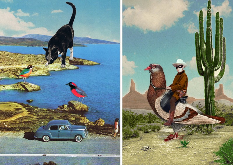 Left: "Ignorance is bliss" by Sammy Slabbinck -- Right: "The Pigeon Ranger" by Sammy Slabbinck