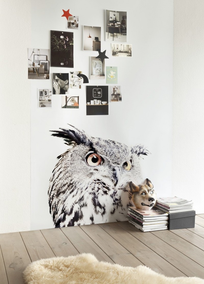 owl wall