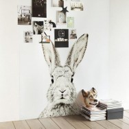 rabbit wall