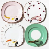 birds plates by yvonne ellen