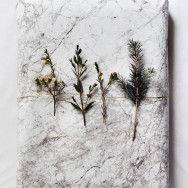 marble nature