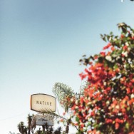 sign-the-native-malibu-california