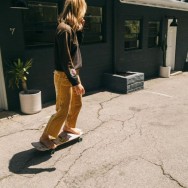 the native hotel skate